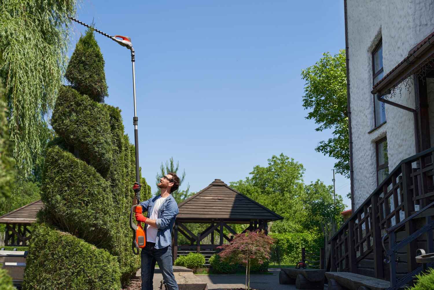 Best Affordable Tree Service  in USA